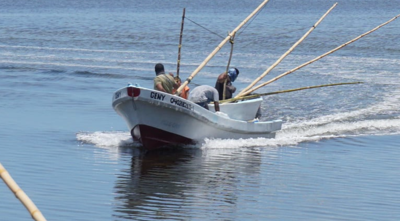 Yucatán solicita ampliar temporada de pesca de pulpo